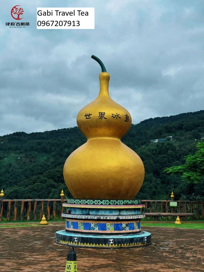 khu vực trồng trà phổ nhĩ Băng Đảo Địa giới Đồi Địa Giới