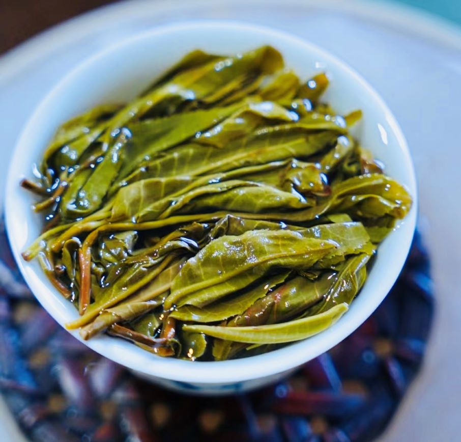 Lá trà Phổ Nhĩ sống Băng Đảo tươi, dày lá, gân rõ, sắc xanh tự nhiên