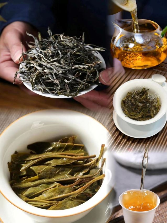 Nghệ thuật thưởng trà Phổ Nhĩ: Mỗi lần pha trà Phổ Nhĩ sử dụng 3–5g trà khô, lượng trà chuẩn giúp cân bằng hương vị và hậu vị