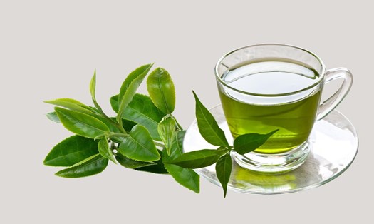 Bảng so sánh trà Phổ Nhĩ và Trà Xanh 