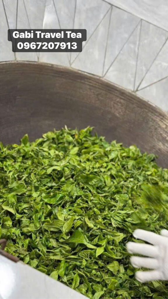 Trà Phổ Nhĩ Sống Và Trà Phổ Nhĩ Chín – Quy Trình, Hương Vị Và Tiêu Chí Đánh Giá Chất Lượng