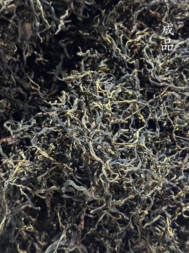 4. quy trình làm hồng trà phơi hồng vân nam từ lá trà Đại diệp chủng