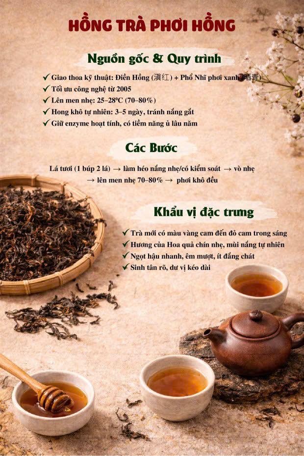 Bảng tóm tắt Hồng trà cổ thụ phơi hồng Vân Nam