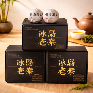 Trà Phổ Nhĩ Băng Đảo sống cổ thụ Vân Nam – trà khí mạnh, hậu ngọt dài