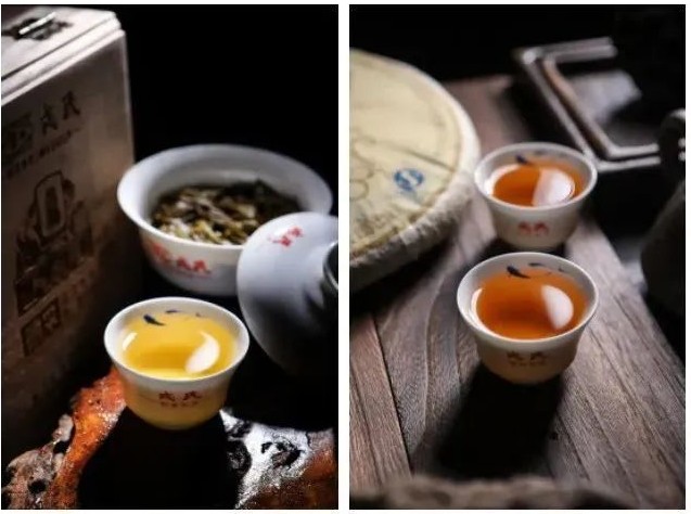 Theabrownin trong trà Phổ Nhĩ – hợp chất polyphenol hình thành trong quá trình lên men của trà Phổ Nhĩ