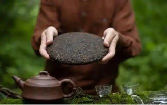 Trà Phổ Nhĩ – Không chỉ để thưởng thức mà còn mang giá trị sưu tầm