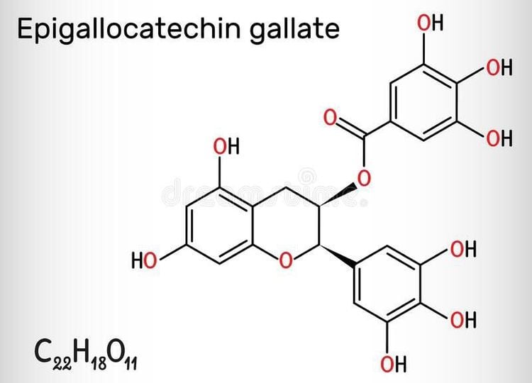 EGCG, theaflavin và thearubigin là những hợp chất tannin quan trọng, góp phần tạo nên màu nước và cấu trúc vị của trà đen và trà Phổ Nhĩ.