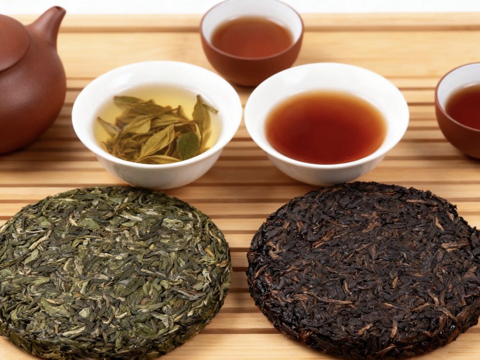 phân biệt trà Phổ Nhĩ sống và phổ nhĩ chín