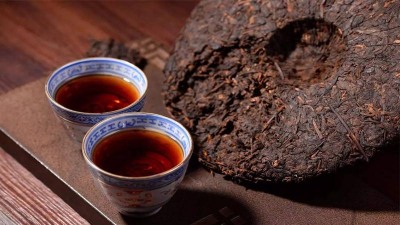 So sánh trà Lão Ban chương và trà băng đảo: khẩu vị và khí trà