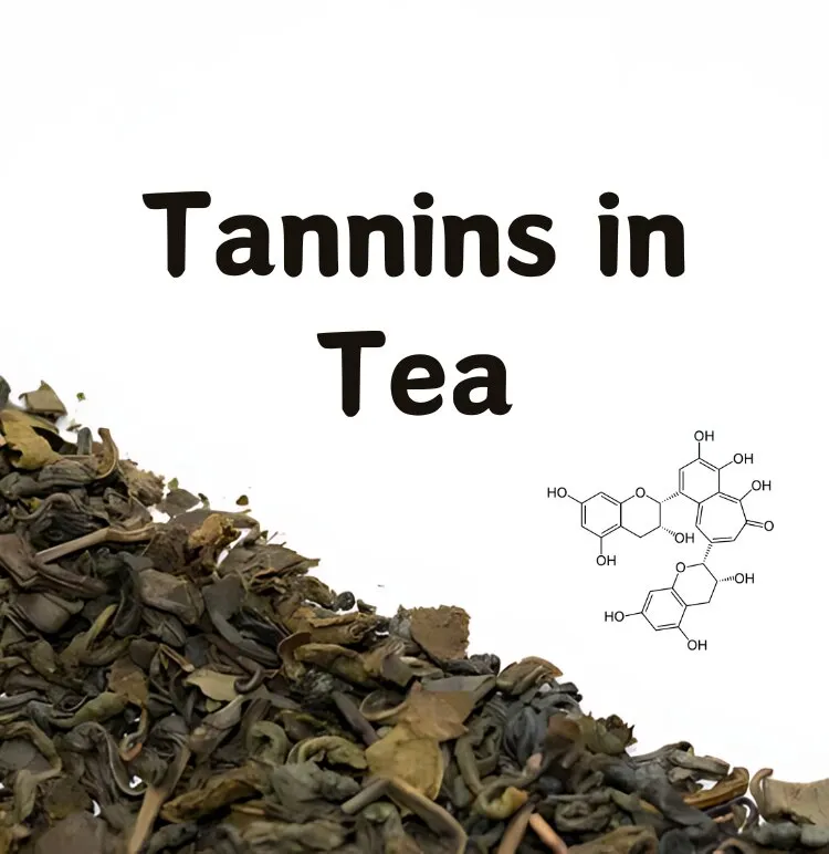 Thành phần hoá học trong trà Phổ Nhĩ: polyphenol, caffeine tự nhiên, axit amin và khoáng chất tạo vị trầm ấm, hậu ngọt bền