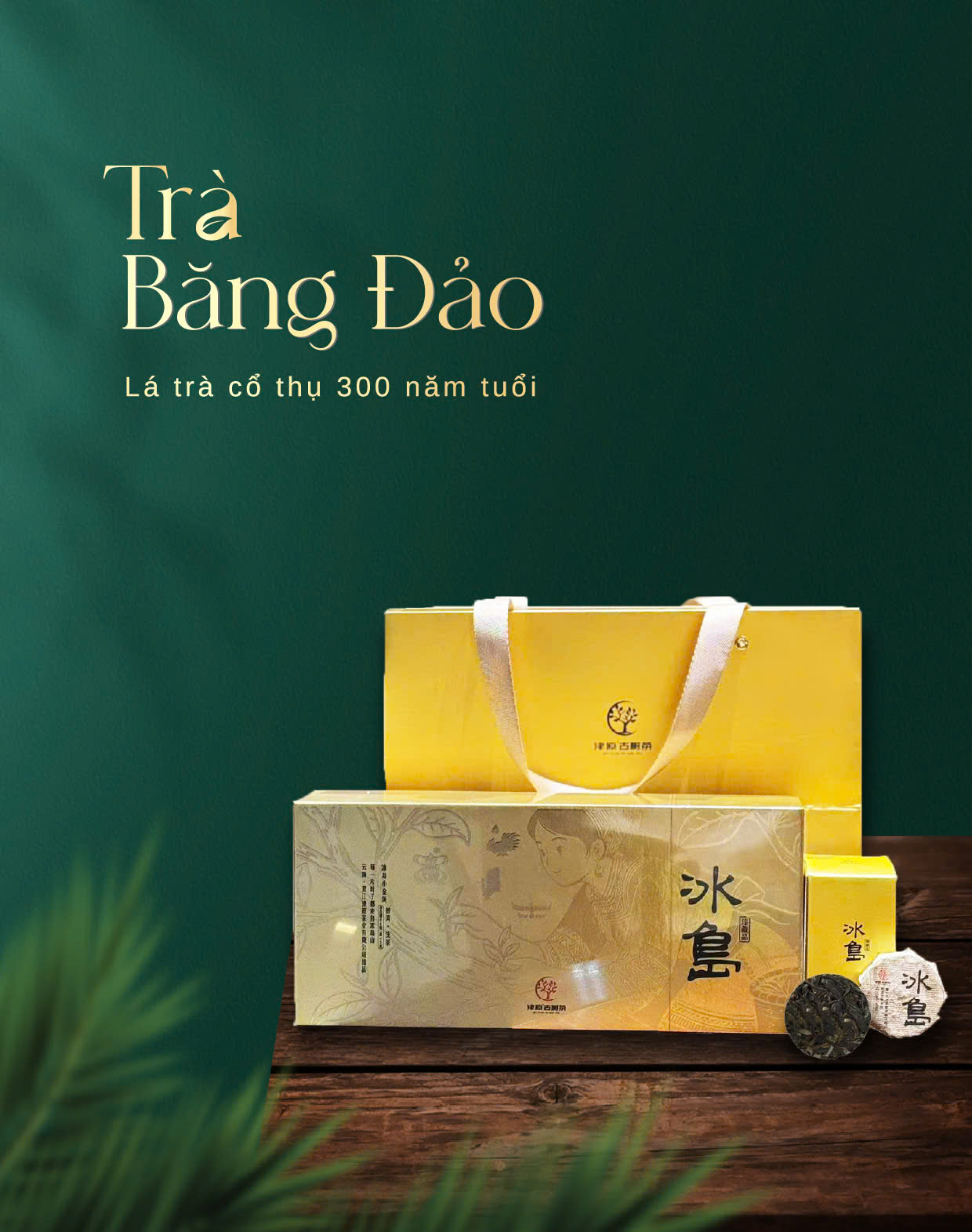 Trà Phổ Nhĩ Băng Đảo Lão Trại Cao Cấp