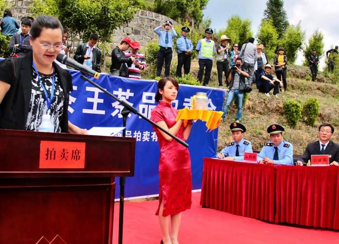 Cẩm Tú Trà Tôn, cây trà cổ hơn 3.200 năm tuổi tại Phượng Khánh, Vân Nam – biểu tượng của trà phổ nhĩ đại thụ và nguồn gen trà cổ quý hiếm.