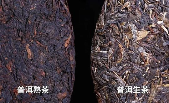 So sánh bánh trà Phổ Nhĩ sống và trà Phổ Nhĩ chín