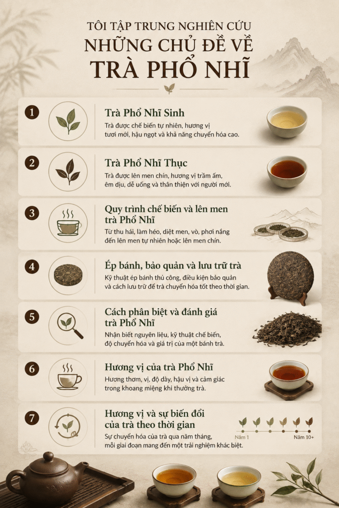 chu-de-tra-pho-nhi-gabi-travel-tea chủ đề về trà Phổ Nhĩ được Gabi nghiên cứu