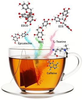 Caffeine tròng trà Phổ Nhĩ sống