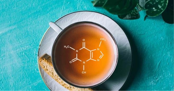 Caffeine tròng trà Phổ Nhĩ sống
